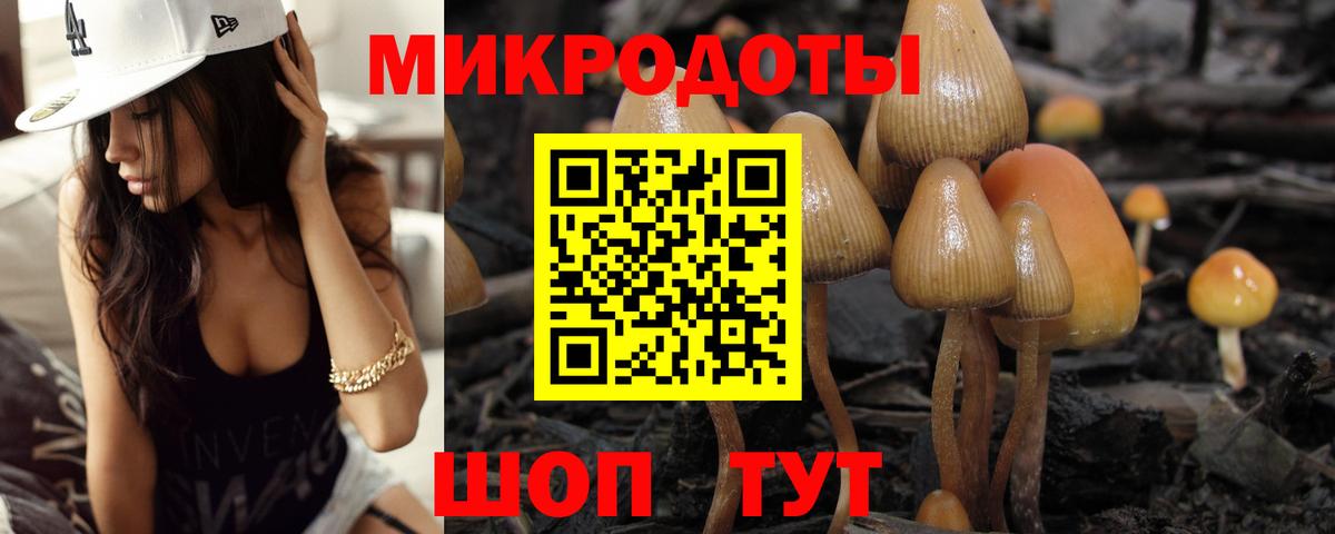Псилоцибиновые грибы мухоморы  Вход с VPN  Псилоцибиновые грибы GOLDEN TEACHER  Киржач 